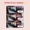 JNK Pet Toothbrush Diagonal Bristles Cat Dog Dental Care-2