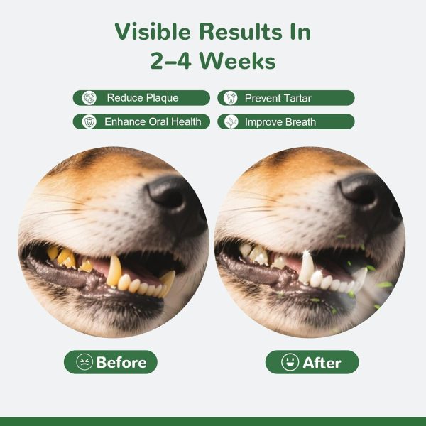 Vetriuntrix Dog Teeth Cleaning Powder Natural Plaque Remover-2