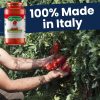 Tomato Basil Sauce LA SAN MARZANO Italian Pasta-6