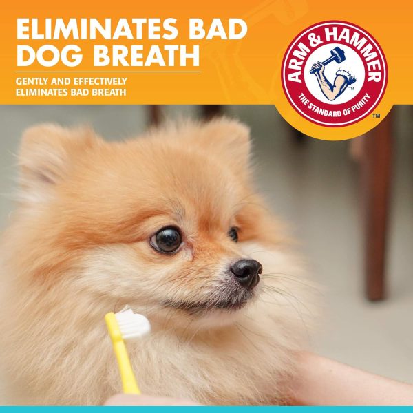 Arm Hammer Dog Toothpaste Enzymatic Cleaning Fresh Breath-1