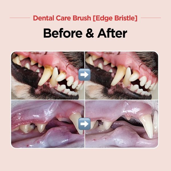JNK Pet Toothbrush Diagonal Bristles Cat Dog Dental Care-1