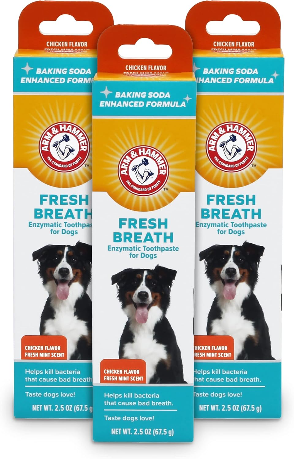 Arm & Hammer dog toothpaste tube with dog toothbrush on a clean surface