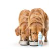 Dog Dental Water Additive Pawfy Fresh Breath-1