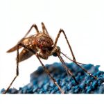 Viral Diseases Guide: Comprehensive Kindle eBook by Amazon Health-0